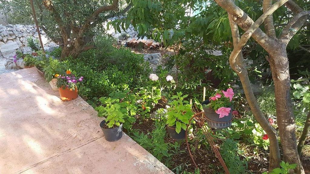 Holiday Home Zeljana คาปริเย ภายนอก รูปภาพ