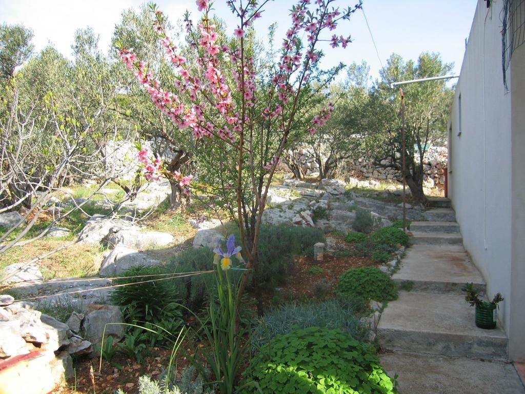 Holiday Home Zeljana คาปริเย ภายนอก รูปภาพ