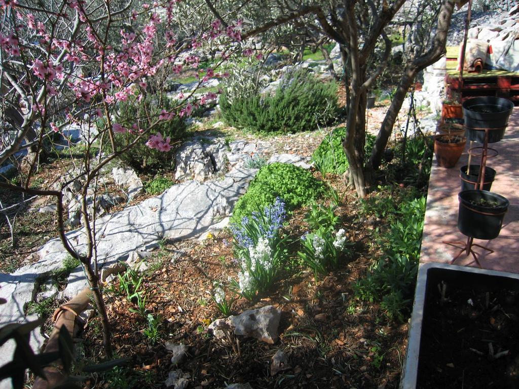 Holiday Home Zeljana คาปริเย ภายนอก รูปภาพ