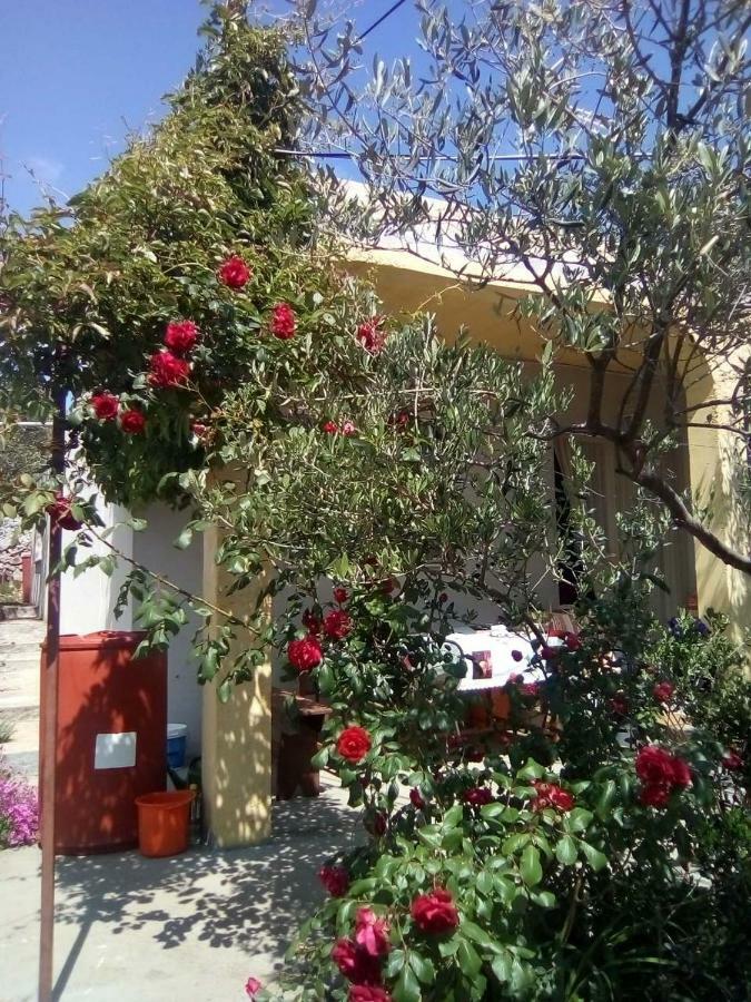 Holiday Home Zeljana คาปริเย ภายนอก รูปภาพ